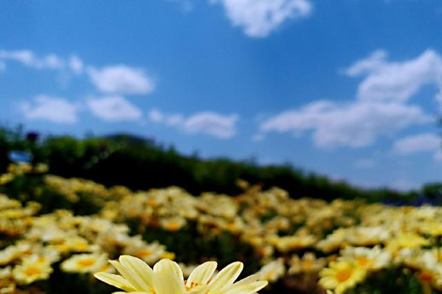 5月份全省空气质量排名出炉  南通部分县（市）空气质量不佳
