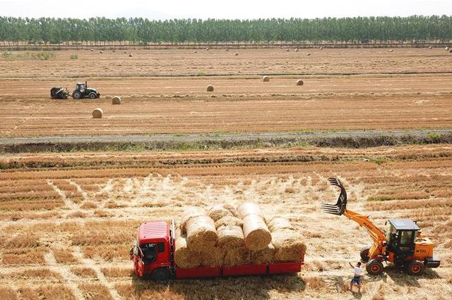 江苏省夏季秸秆机械化还田率超80%