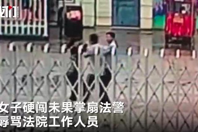 宿迁一女子未带身份证想强闯庭审现场 被拦后掌掴法警