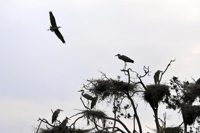 新京报评论：北方省市该向南方学习什么？