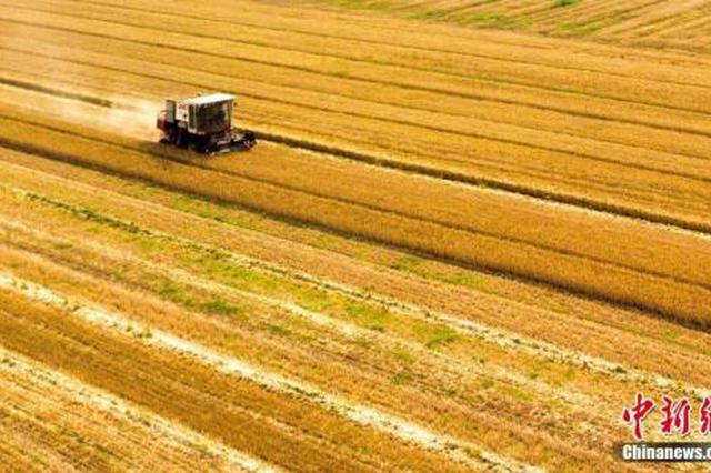 前五个月中国进口美国农产品金额下降55.3%