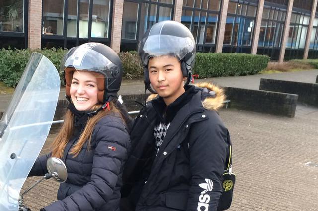 速围观南京2019届高考考情！这些高中喜报这样说