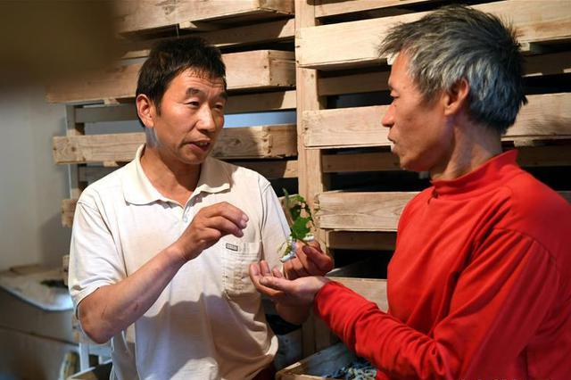 江苏2020年实现6000元以下收入人口全部脱贫