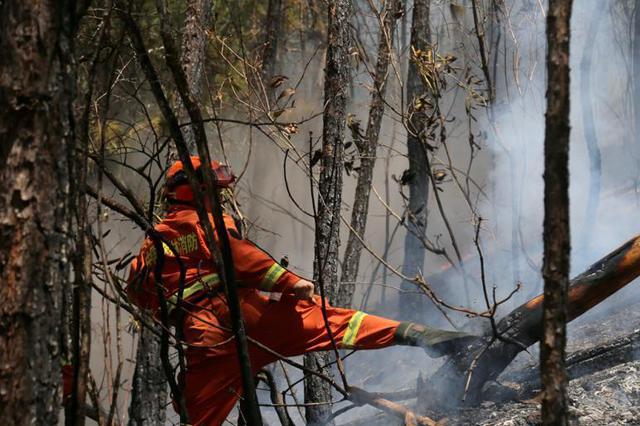 男子侮辱火灾烈士被判2年 并在国家级媒体公开道歉