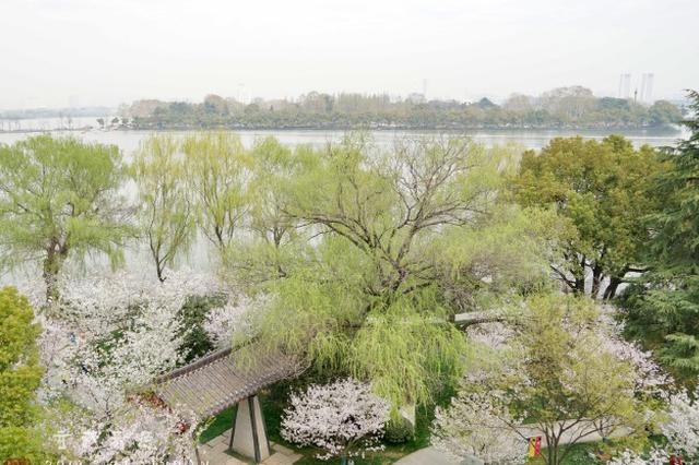 近期南京无高温，但闷热“加码”