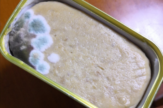 在京东买了午餐肉罐头 半月后开罐发现已长毛