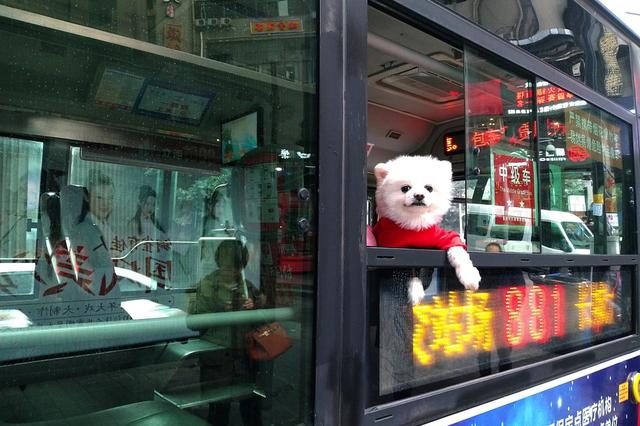 先乘车后付费 南京推出新型公交卡