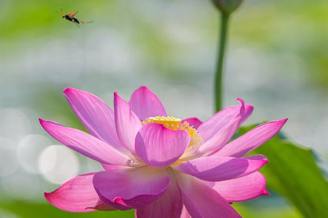 南京首家社区老年大学见闻：变养老为“享老”