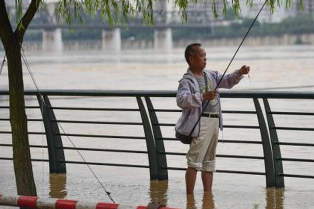 镇江长江水位激增，今年首超警戒水位
