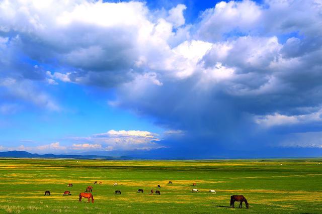 扬州八旬老太失联五天后在新疆现身 惊呆所有人