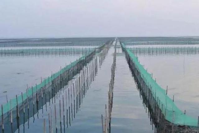 44981亩太湖围网全拆除 太湖围网养殖成历史