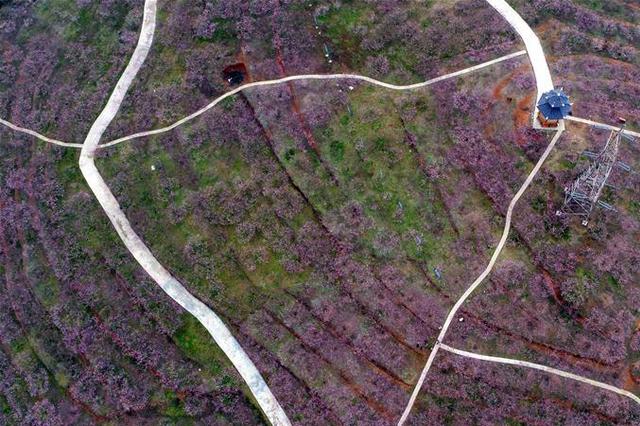 江苏建筑业百强企业最新名单出炉！南通包揽前四