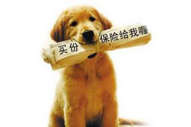你会给宠物买保险吗？ 目前江苏已有三责险、走失险等