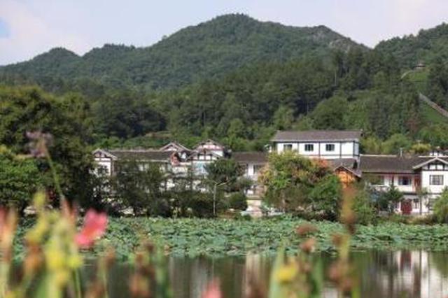 专家谈乡村治理路径：发挥农村多元化社会组织作用