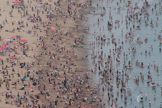 江苏本周有可能“出梅” 40天豪华版三伏天即将上线