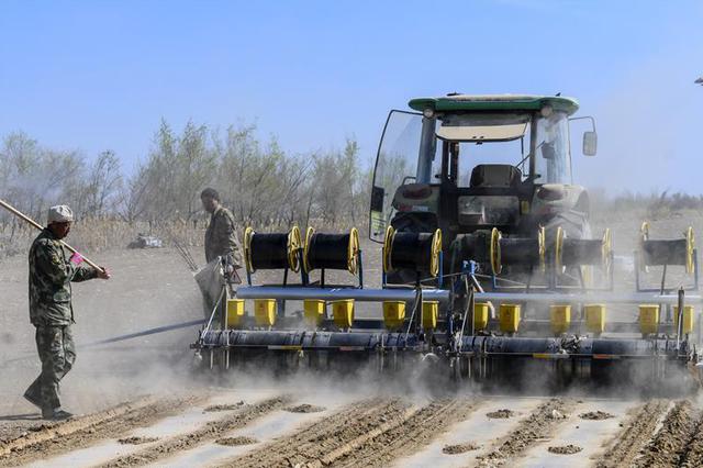 今年全国夏粮生产获得丰收 总产量2835亿斤