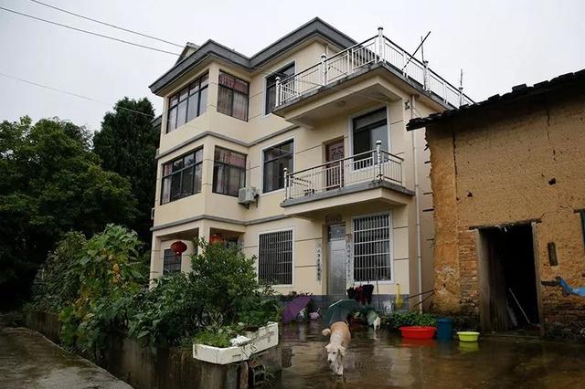 租客为何自杀？警方:诈骗维持日常开销已难以为继