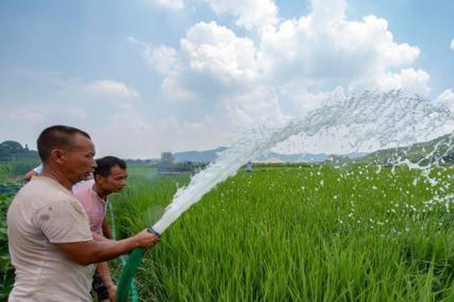 江苏启动苏北地区抗旱IV级应急响应
