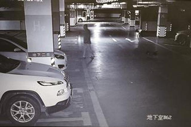 南京男子偷盗让狗“望风”不料反被狗狗出卖