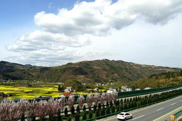 花钱买危险 培训机构40多人高速路上拦车体验穷游