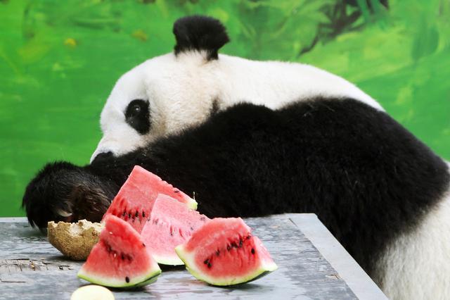 “高温经济”从线下烧到线上 南京人一天吃掉1000多吨西瓜