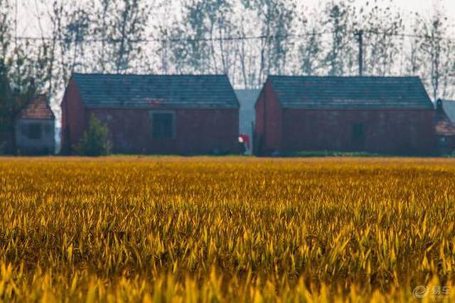 江苏推进苏北农房改善：决不能住着危房“被小康”