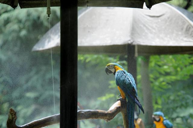 一天超8小时 江苏每天的高温比上班时间还长（附天气预报）