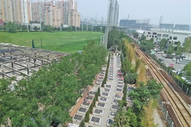 小区附近200座墓穴规整排列 民政部门调查