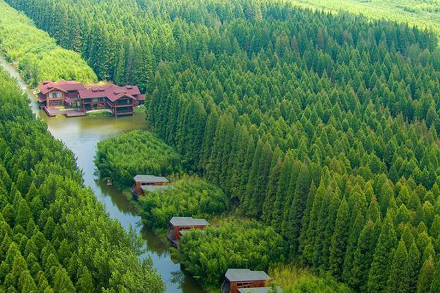 盐城市委书记谈黄海湿地申遗：珍惜世遗荣誉，放大世遗效应