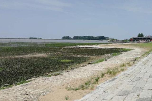 苏北遭遇60年一遇罕见气象干旱:主要湖库接近死水位