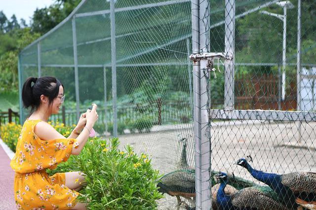 87.9%受访青年考虑过返乡就业 家乡发展迅速是主因