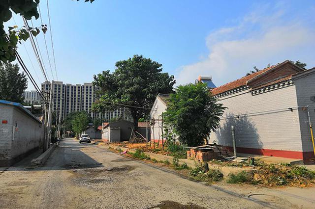 3岁女童横穿马路 老汉出手相救被撞亡却要担责