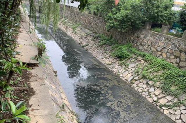 南京仙林老十里长沟雨后返臭 回应：从源头解决