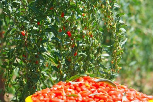 江苏省低保标准提前一年超过省定兜底脱贫线