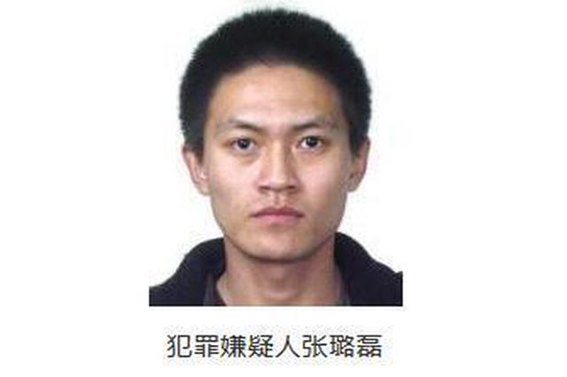 公安部A级通缉令在逃人员张璐磊主动回国投案自首