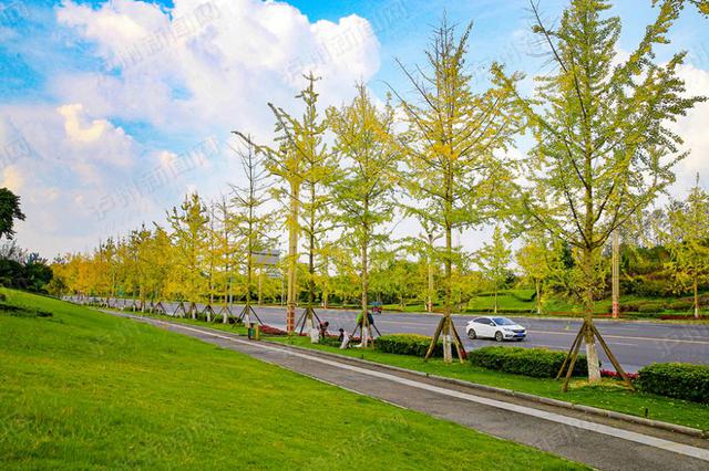 江苏空气质量通报：7市PM2.5浓度降幅未达标