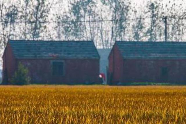 江苏改善苏北农民住房 规划中一些共性问题需重视