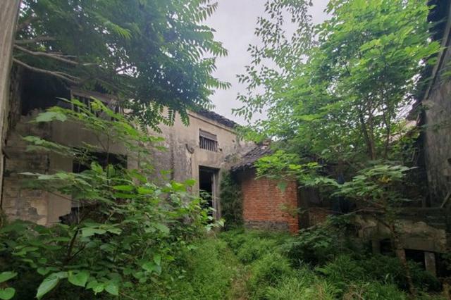 南京一百年老宅年久失修 区文旅局：确保不再发生坍塌