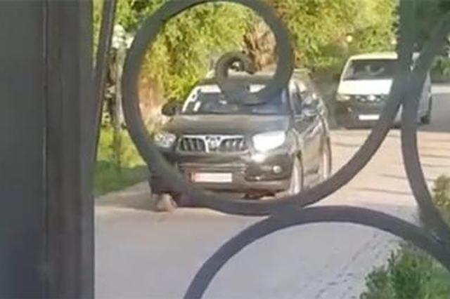 抓捕前总统的24小时：吉尔吉斯斯坦发生了什么