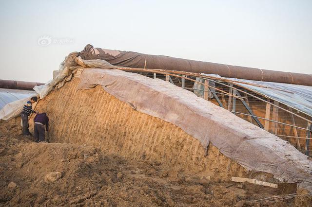 山东寿光通报：台风致1.8万个大棚进水，直接损失近10亿