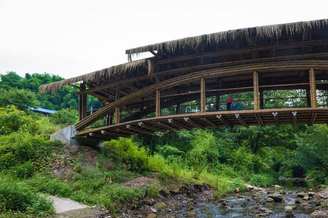 重庆保时捷女车主发致歉信 其所长丈夫被立案调查