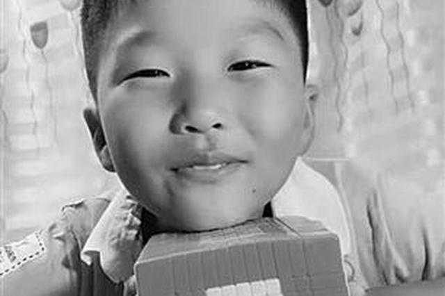 无师自通 苏州10岁神奇小子用魔方秒拼百家姓