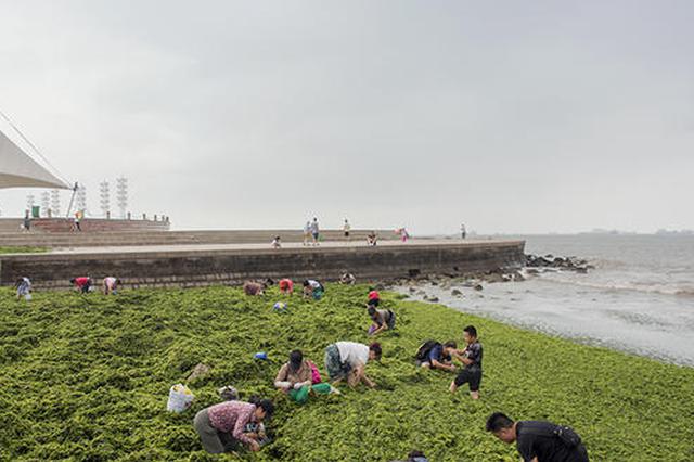 利奇马致浙江永嘉35万余人受灾 收到3600万元捐款