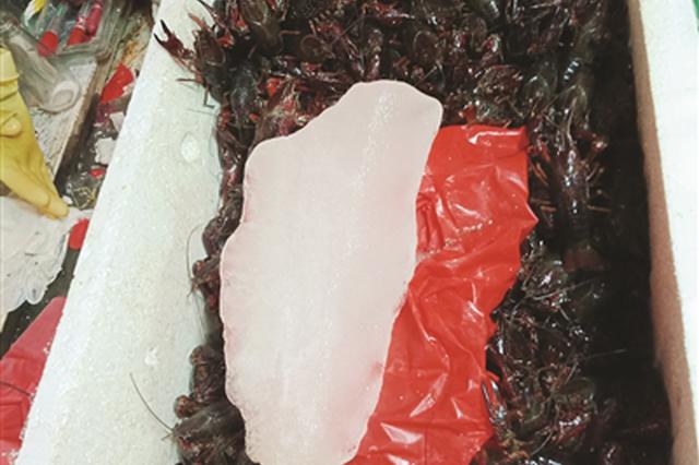 江苏龙虾价格翻番：公虾肉不多 母虾口感不如初夏