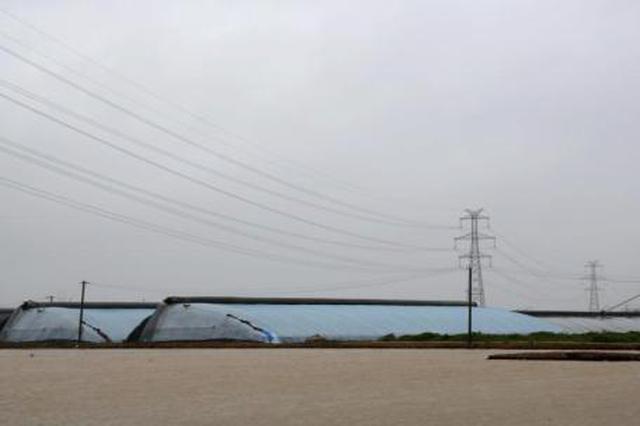 “利奇马”致辽宁36.5万余人受灾 全省转移13万余人