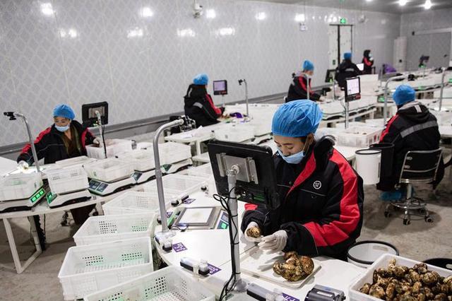 电商快递内鬼盗取个人信息 “货到付款99元”狂骗1200万