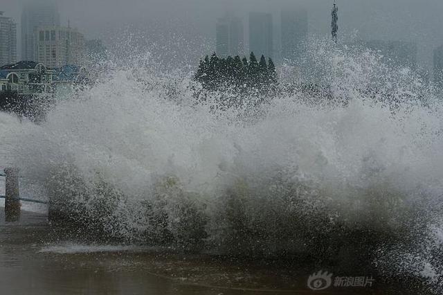 "利奇马"赈灾众筹项目引发争议 涉事基金会回应