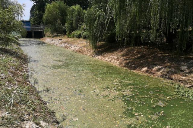 扬州横沟河花费200万整治2个月 源头活水仍未来