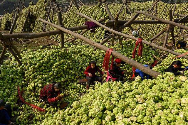 台名嘴为何说大陆吃不起榨菜?有几股力量推他们演