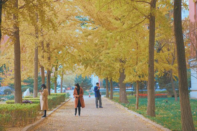 中国出新规依法打击“校闹”